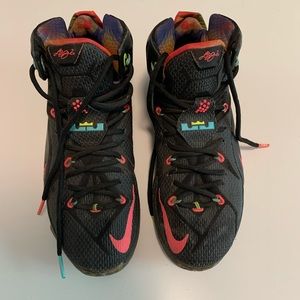 Nike Lebron James sneakers